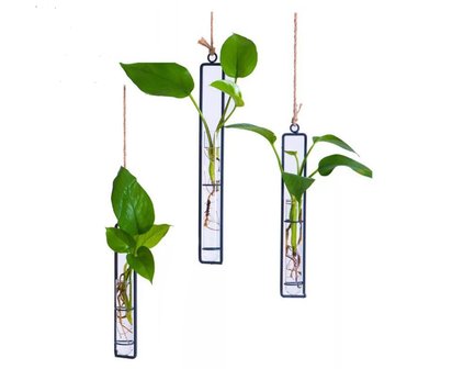 Stekstation / Minimalistische Plantenhanger -Maat M