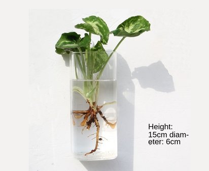 Hangende muurvaas - Stekvaasje op plank - Plantenhanger Hydrocultuur Woondecoratie