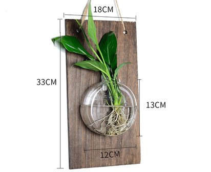 Hangende muurvaas - Stekvaasje op plank - Plantenhanger Hydrocultuur Woondecoratie