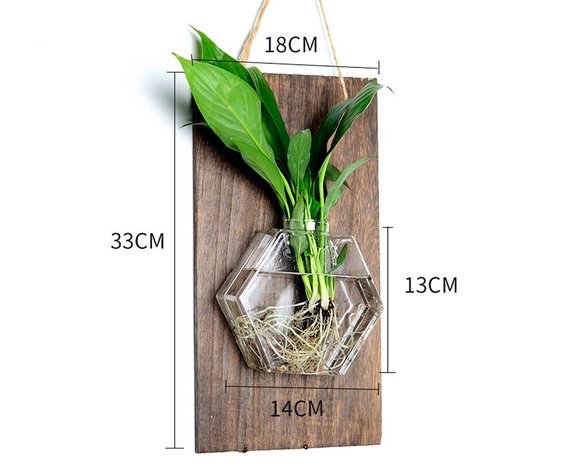 Hangende muurvaas - Stekvaasje op plank - Plantenhanger Hydrocultuur Woondecoratie