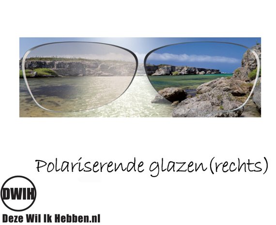 Houten zonnebril: Metis Round Zebra met gepolariseerde glazen