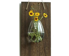 Hangende muurvaas - Stekvaasje op plank - Plantenhanger Hydrocultuur Woondecoratie - Ei