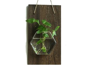 Hangende muurvaas - Stekvaasje op plank - Plantenhanger Hydrocultuur Woondecoratie - Hexagon