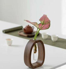 Elegante Japandi Hydrocultuur Vaas van Walnoothout – Strak en Tijdloos Design - 9 cm